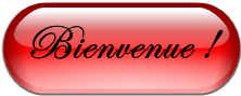 Bienvenue !